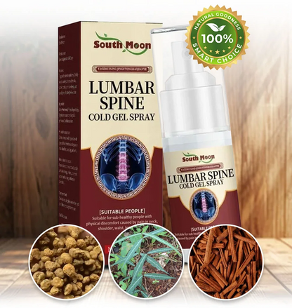 ELAHE Japanese Herbal Lumbar Spine Cold Gel Spray