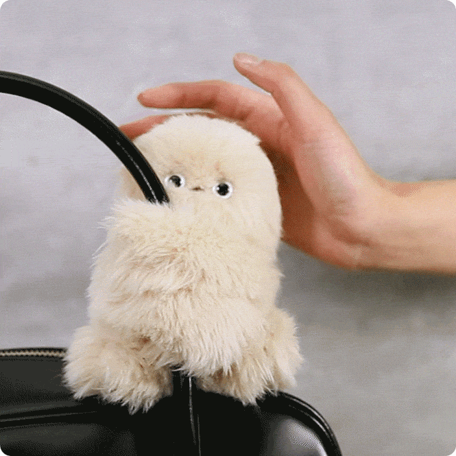 Mirumi, A charm robot