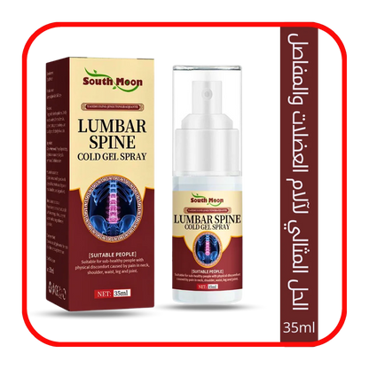 ELAHE Japanese Herbal Lumbar Spine Cold Gel Spray