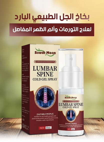ELAHE Japanese Herbal Lumbar Spine Cold Gel Spray